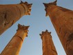 Columns of the temple of Artemis, Jerash, Jordan.  26/11/2010