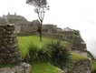 Cloudy greeting at Machu Picchu.