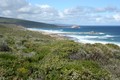 View south, Cape Naturaliste, 19/8/08.