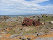 Remnants of the SS Monaro, rusting on the headland.