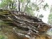 Ironstone in some convoluted formations, Blue Mountains, 8/3/2010