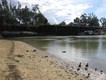 Echuca Wharf on the Murray. Love the ducklings! 20/4/2010.
