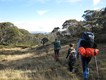 On Mt Bogong, following the pole line to the hut.