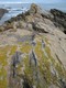 Colourful lichen and eroded granite.