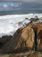 Perched on the rocks at West Cape, Cape Conran.