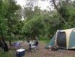 Idyllic campsite at Saltwater Creek in Ben Boyd National Park near Eden.