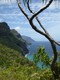 View from the trail along the Na Pali coast.