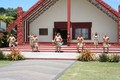 Being welcomed to Te Puia, Rotorua