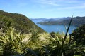 Beautiful views from the Queen Charlotte Track