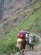 Porters carrying 45 kg loads, 15/11/09.