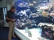 The aquarium - beautifully presented.