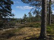 Walk in the Skuleskogen National Park. 26/05/11