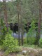 Tivedens National Park, Sweden. Beautiful old forest. 28/05/11