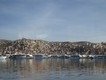 Puno on Lake Titicaca, and some of the tourist boats in its harbour. Most buildings in Peruvian cities are incomplete blocky brick constructions - not very attractive!  01/06/19