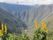 Urubamba valley near Machu Picchu.