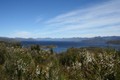 View south to the Frankland range over Lake Pedder.
