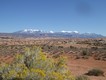 And now we're near Moab in Utah, after a long long drive across Nevada and much of Utah. This is the view to the La Sal mountains to the east from Arches National Park.