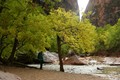 Back to Kanab and off to Zion Canyon the following day. Again a rainy start and then a perfect day and evening.